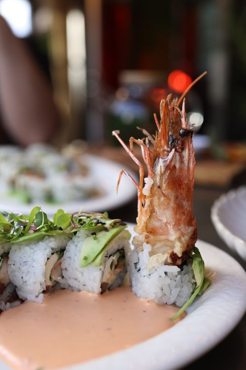 Free A vibrant prawn sushi roll garnished with avocado and greens on a plate. Stock Photo