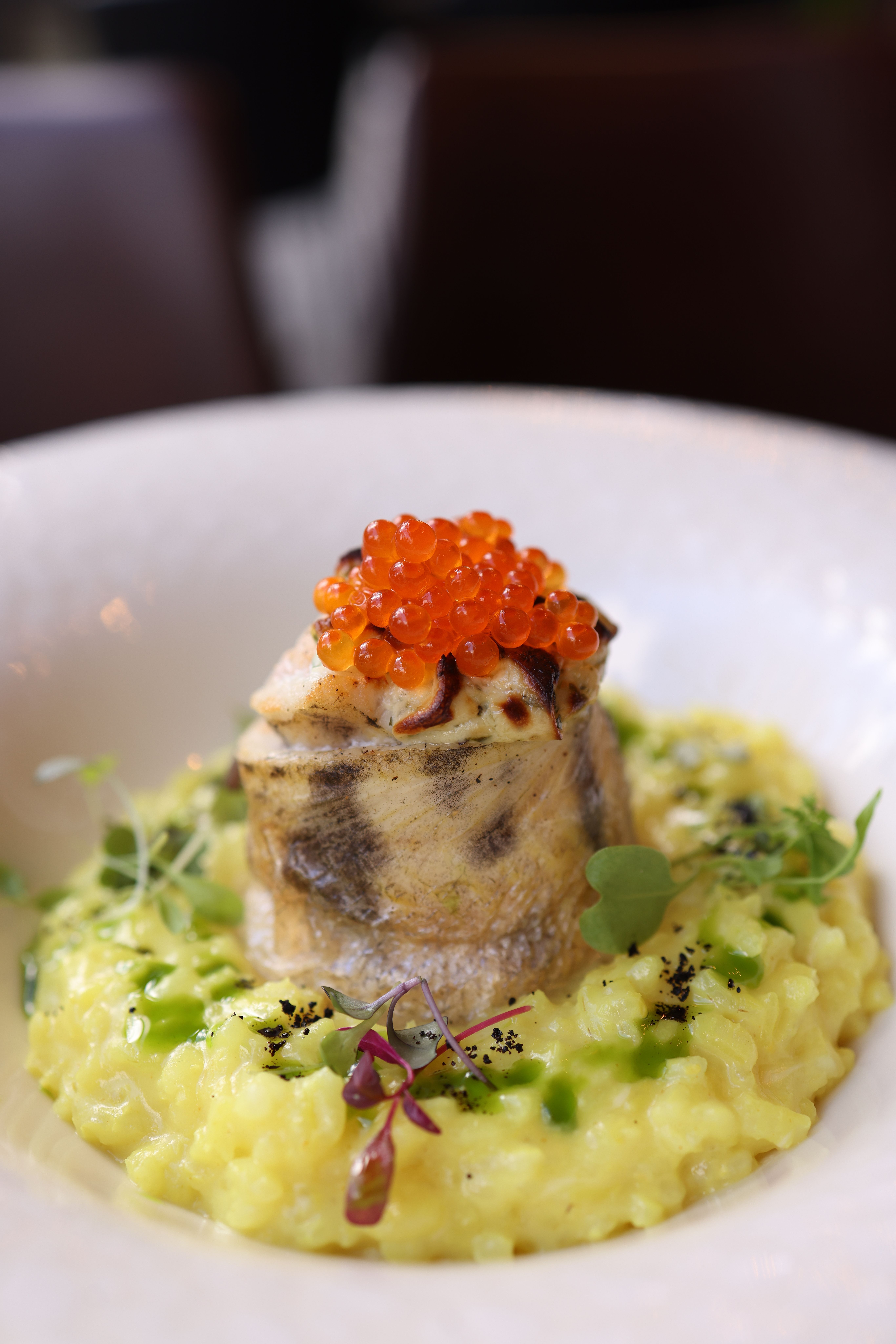 Delicious gourmet seafood dish featuring salmon, roe, and saffron risotto.
