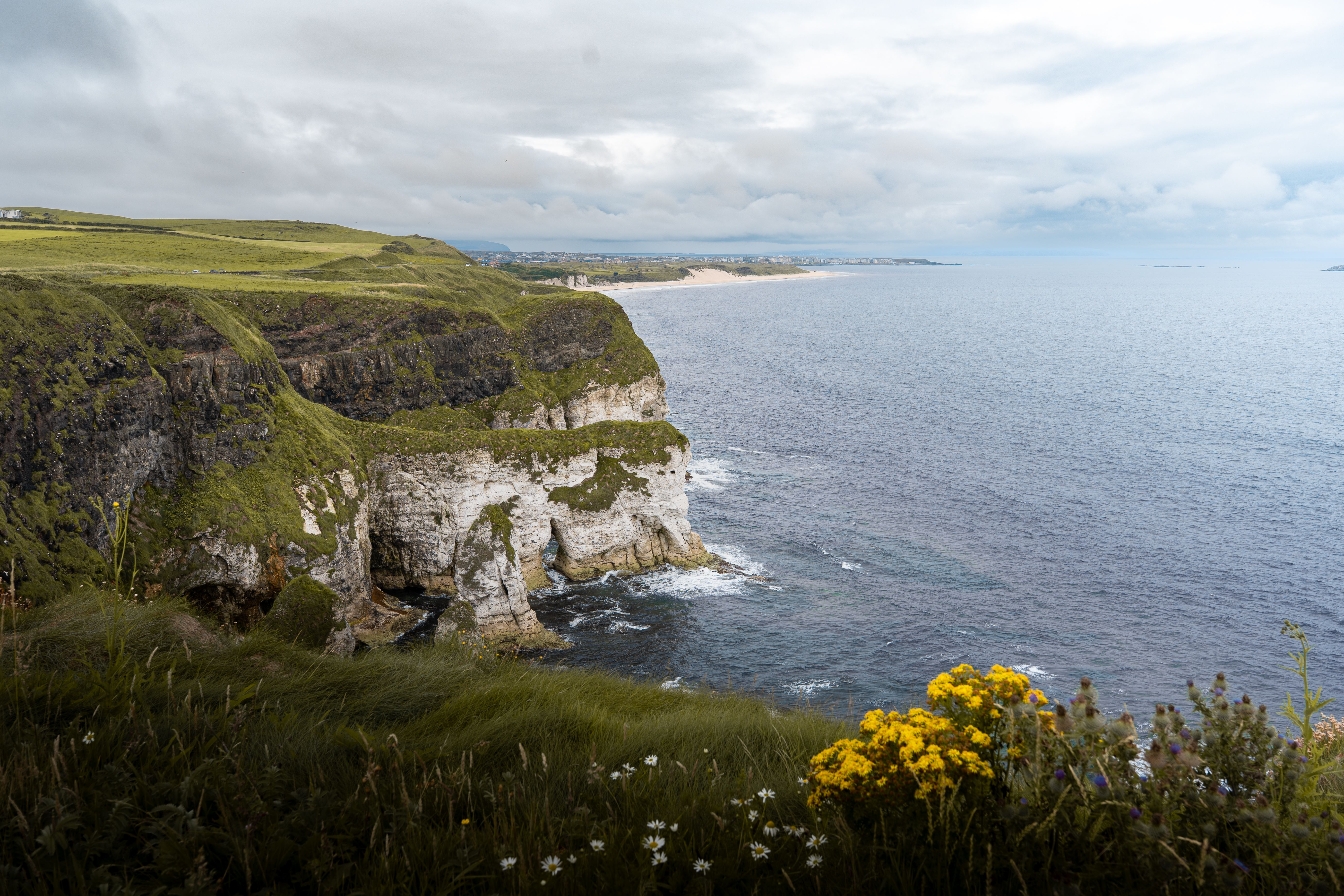Breathtaking view of the Northern Ireland cliffs and coast with wildflowers.