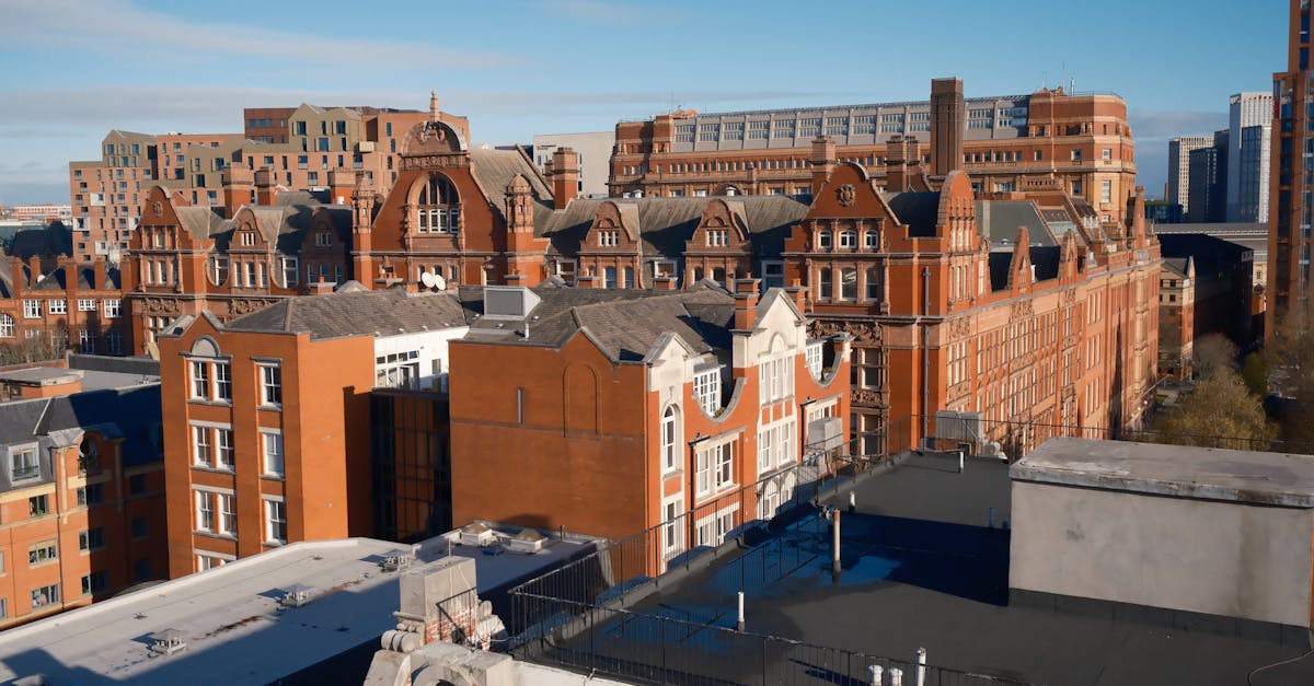 高等教育成功關鍵:生活中的實踐與學習融合