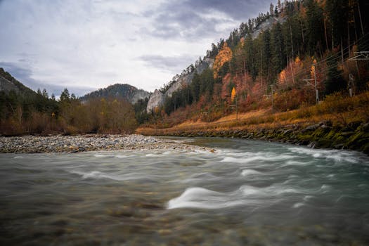 A tranquil river flows through the autumn landscape of Safiental, Graubünden, Switzerland.
