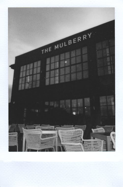 Grayscale Photography of the Mulberry Building