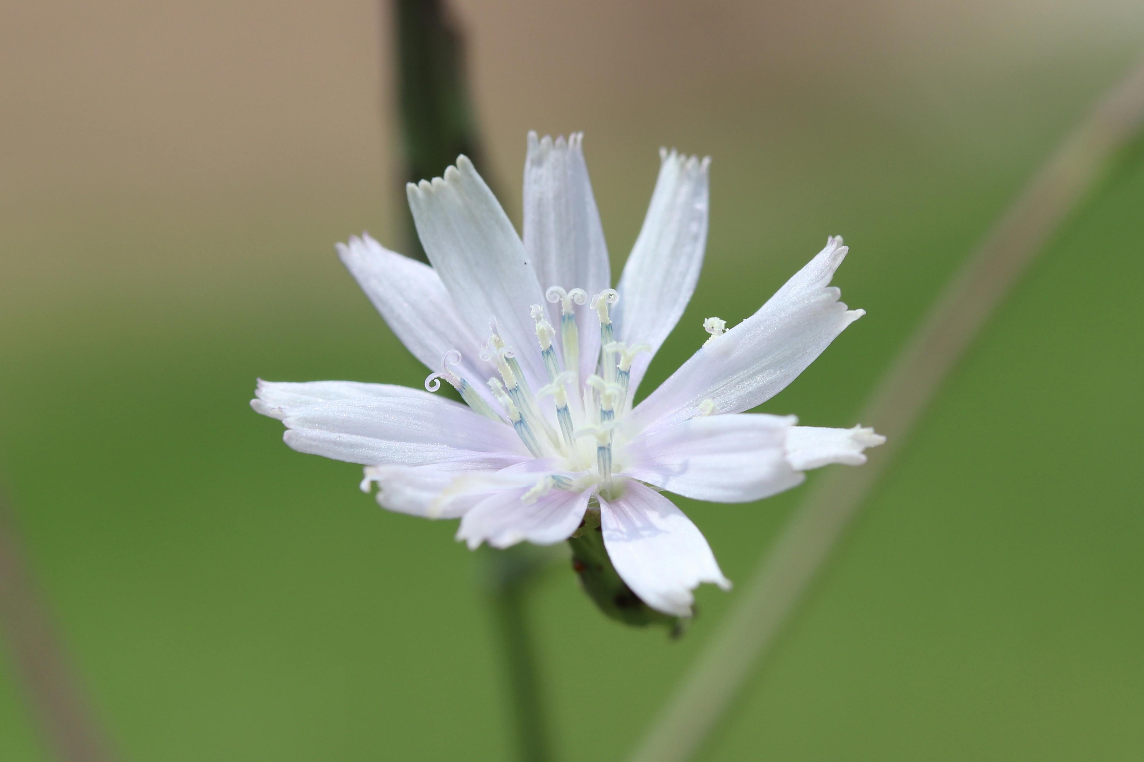智通財經11月18日港股回購統計詳解