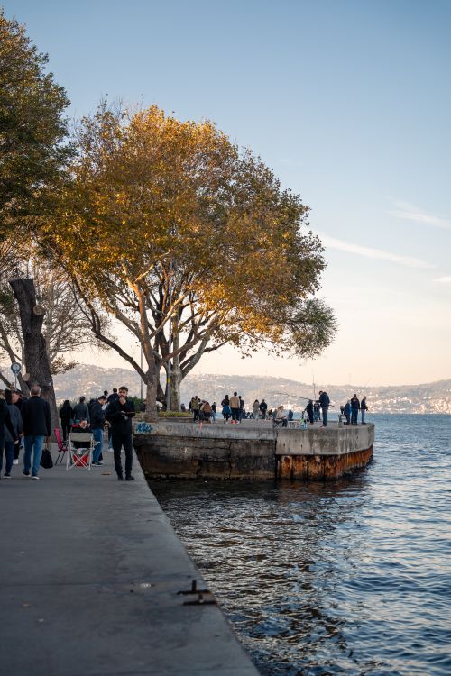Free People enjoying a sunny day along a scenic waterfront promenade with trees. Stock Photo