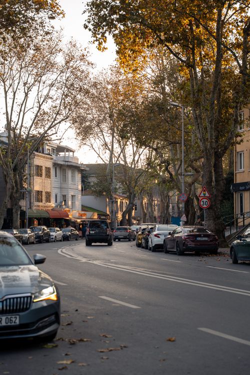 Free A serene urban street scene in autumn with cars parked along a tree-lined boulevard. Stock Photo