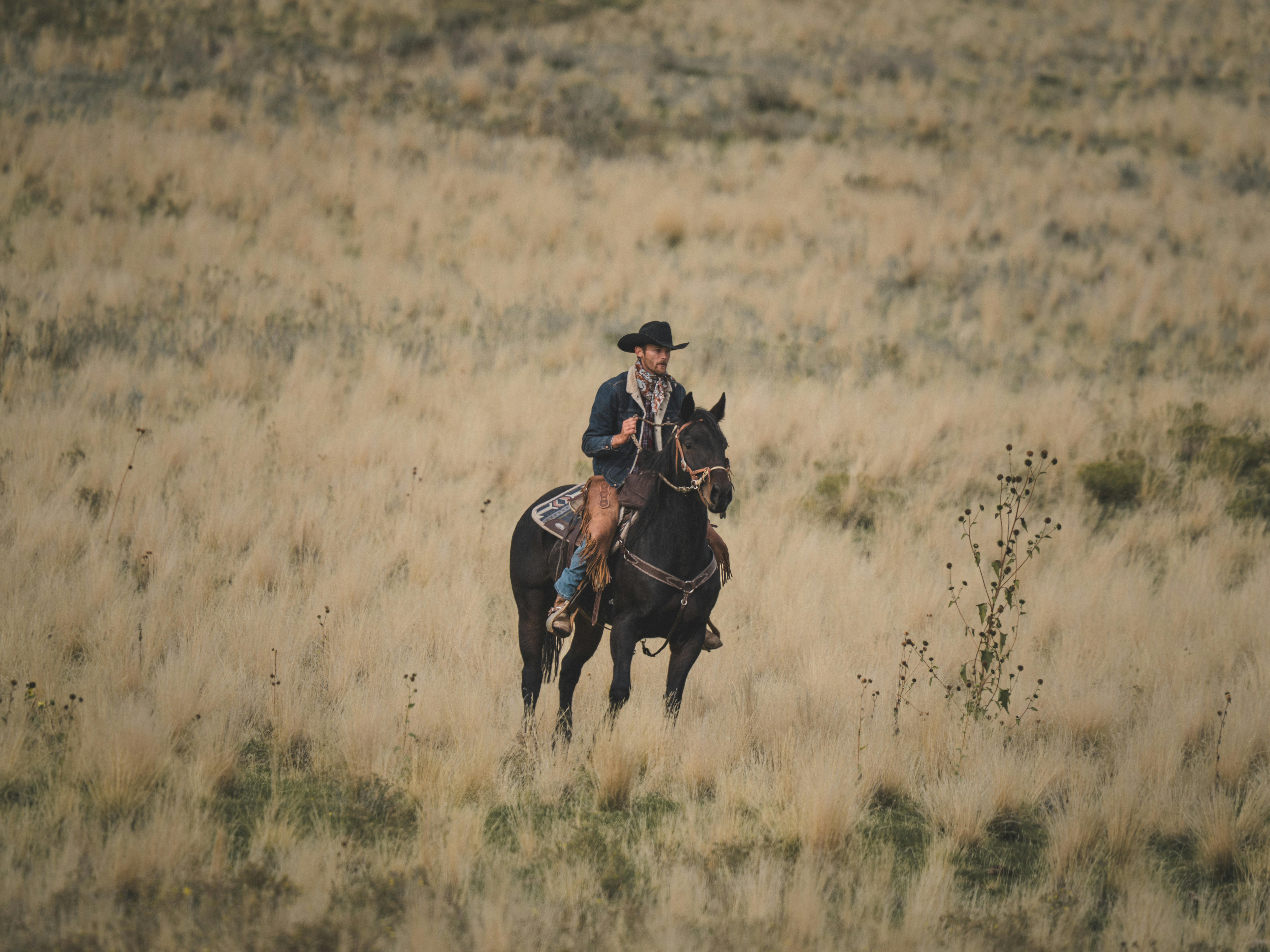 Casper Woman Apologizes After Cleaning The Wrong House - Cowboy State Daily — Photo by David Solce on Pexels