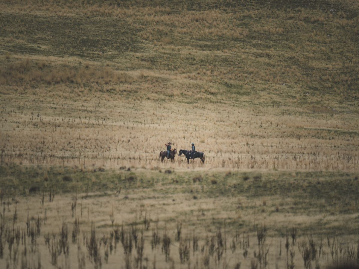 Horseback Riding & Fly Fishing in the Old West