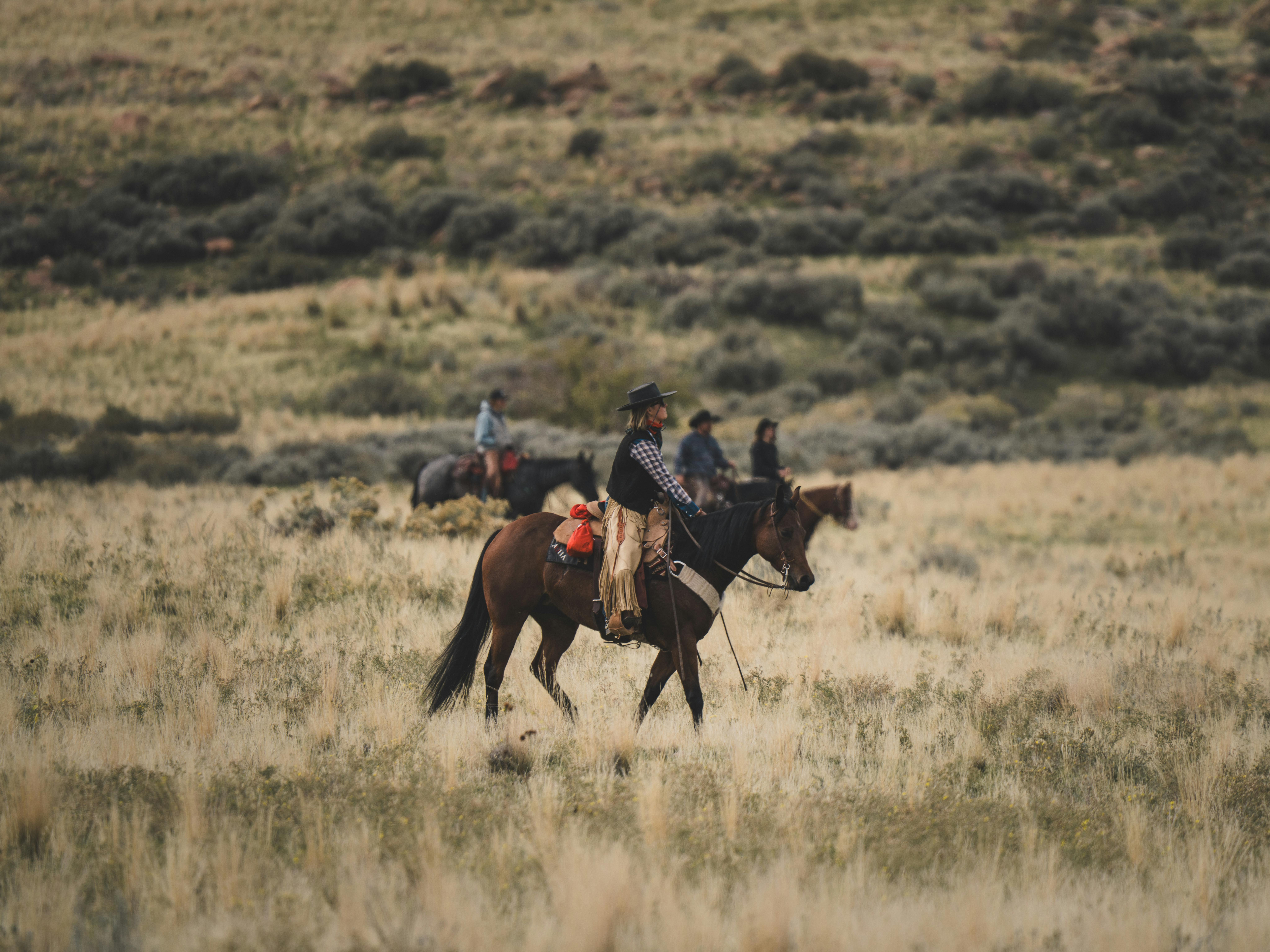 Türkiye’s population prefers Western lifestyle, survey shows — Photo by David Solce on Pexels