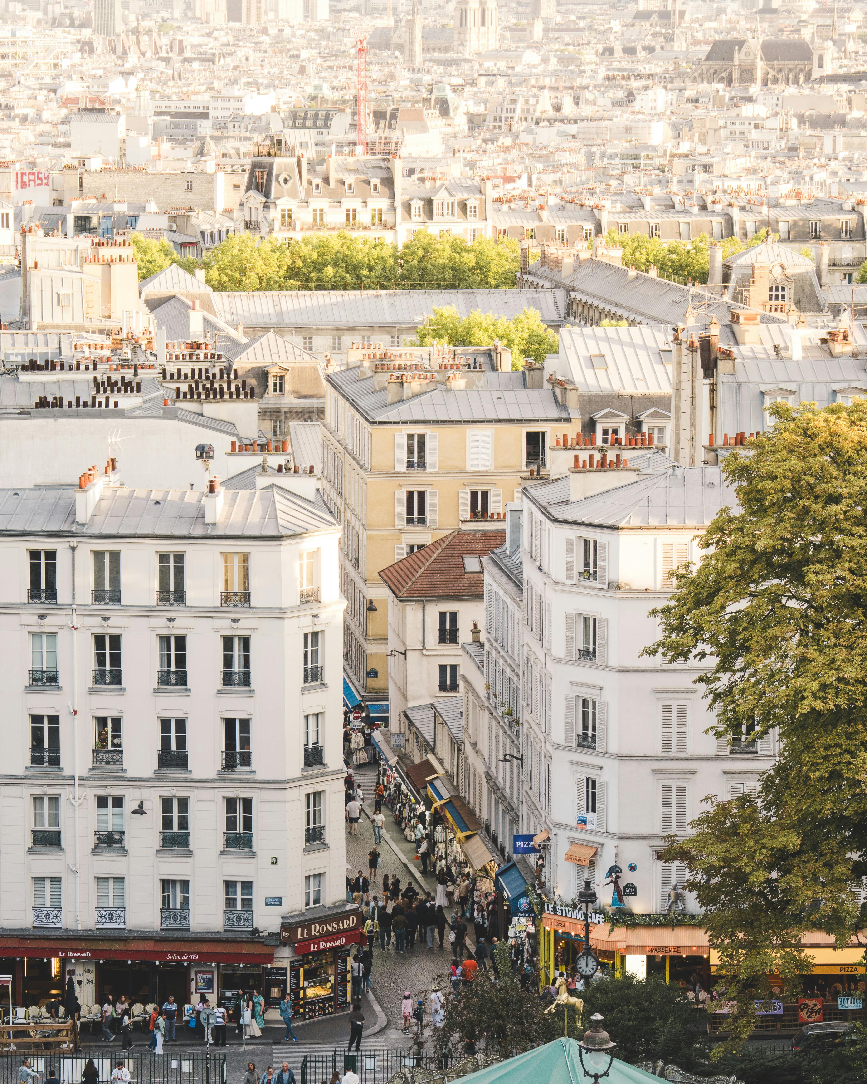 A picturesque aerial view over the historic streets of Paris, France, showcasing classic architecture.