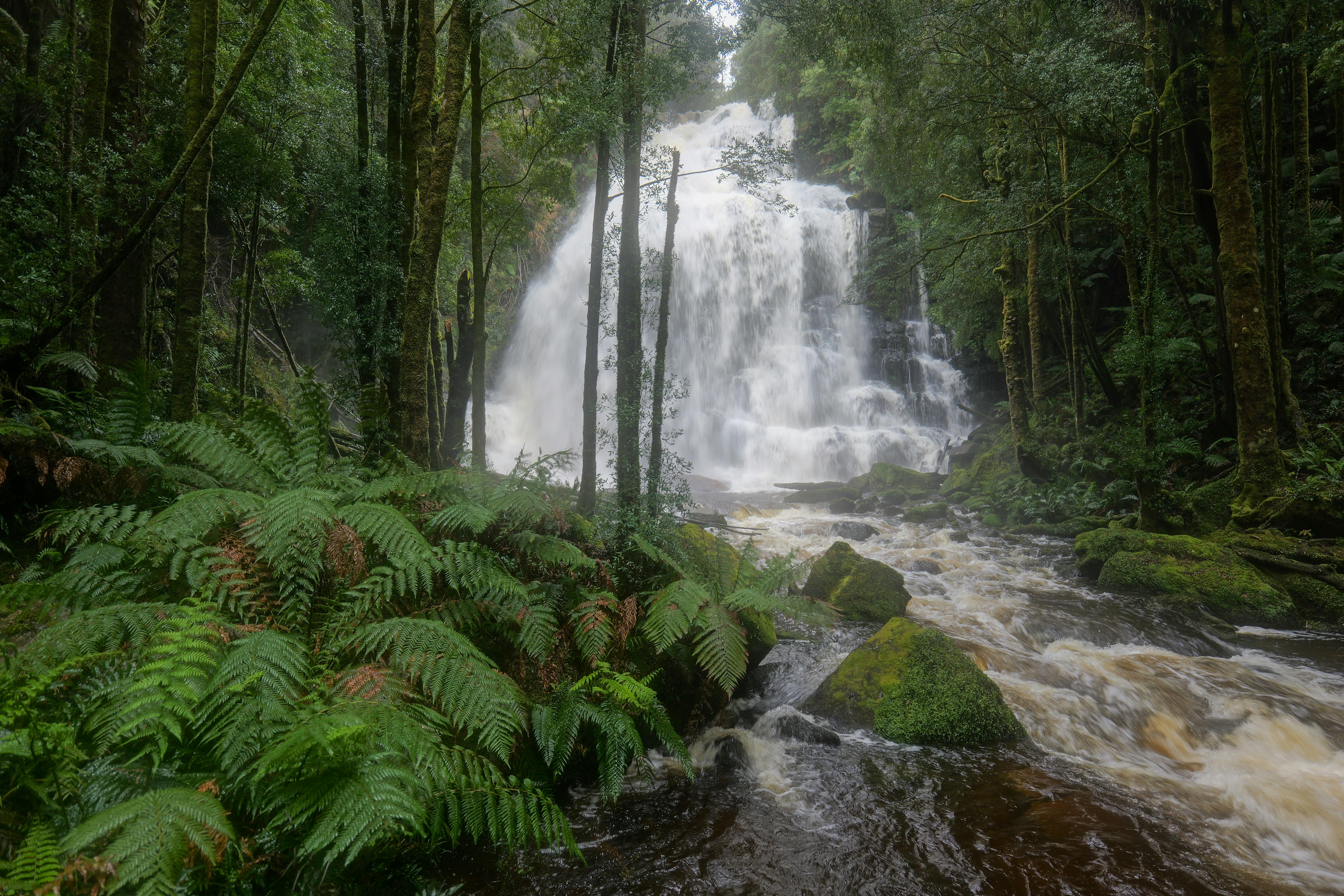 Unraveling the Secrets of Mysterious Disappearances in the Pacific Triangle