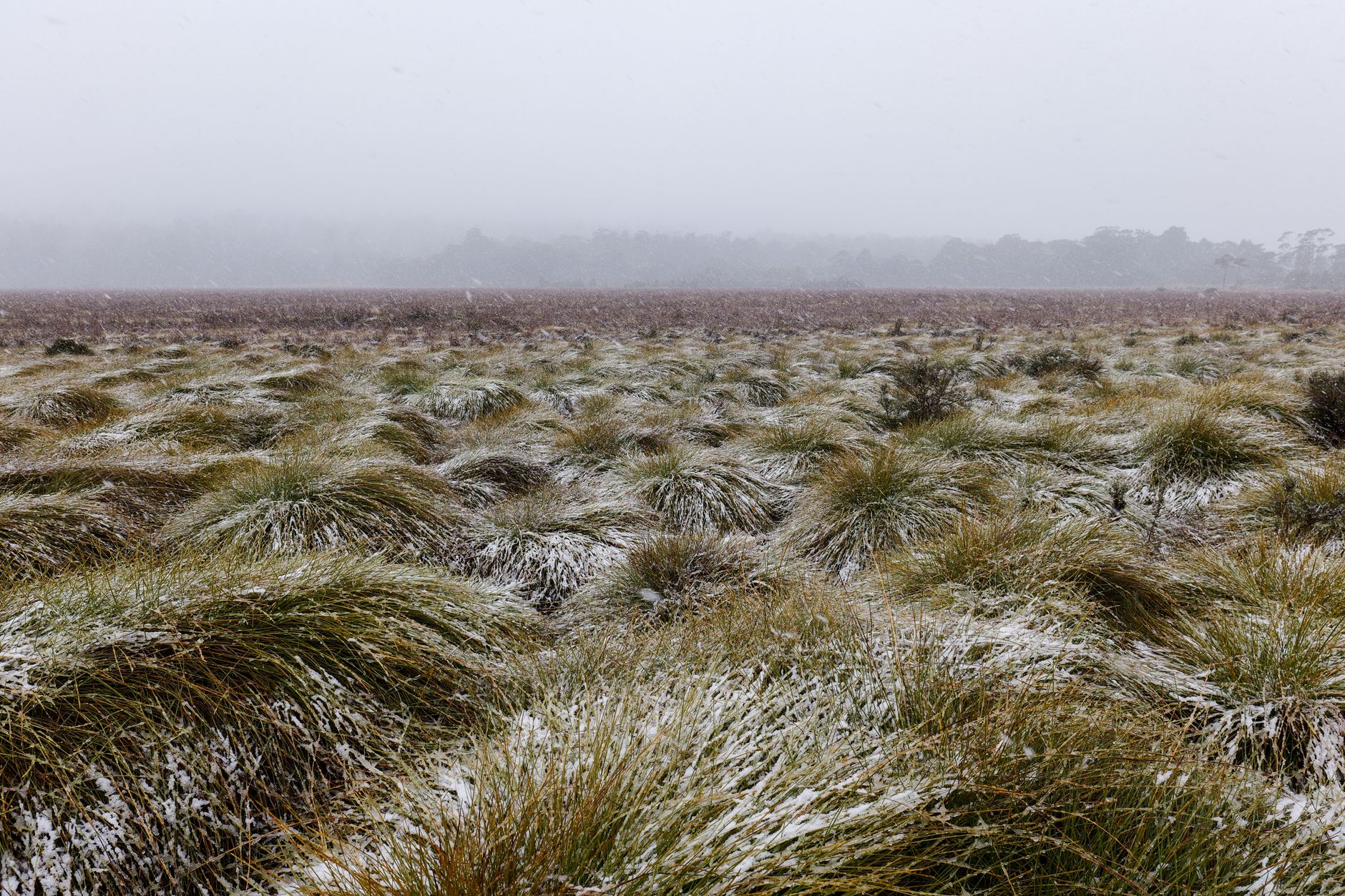 Sobrevivir tu Primer Invierno en Australia