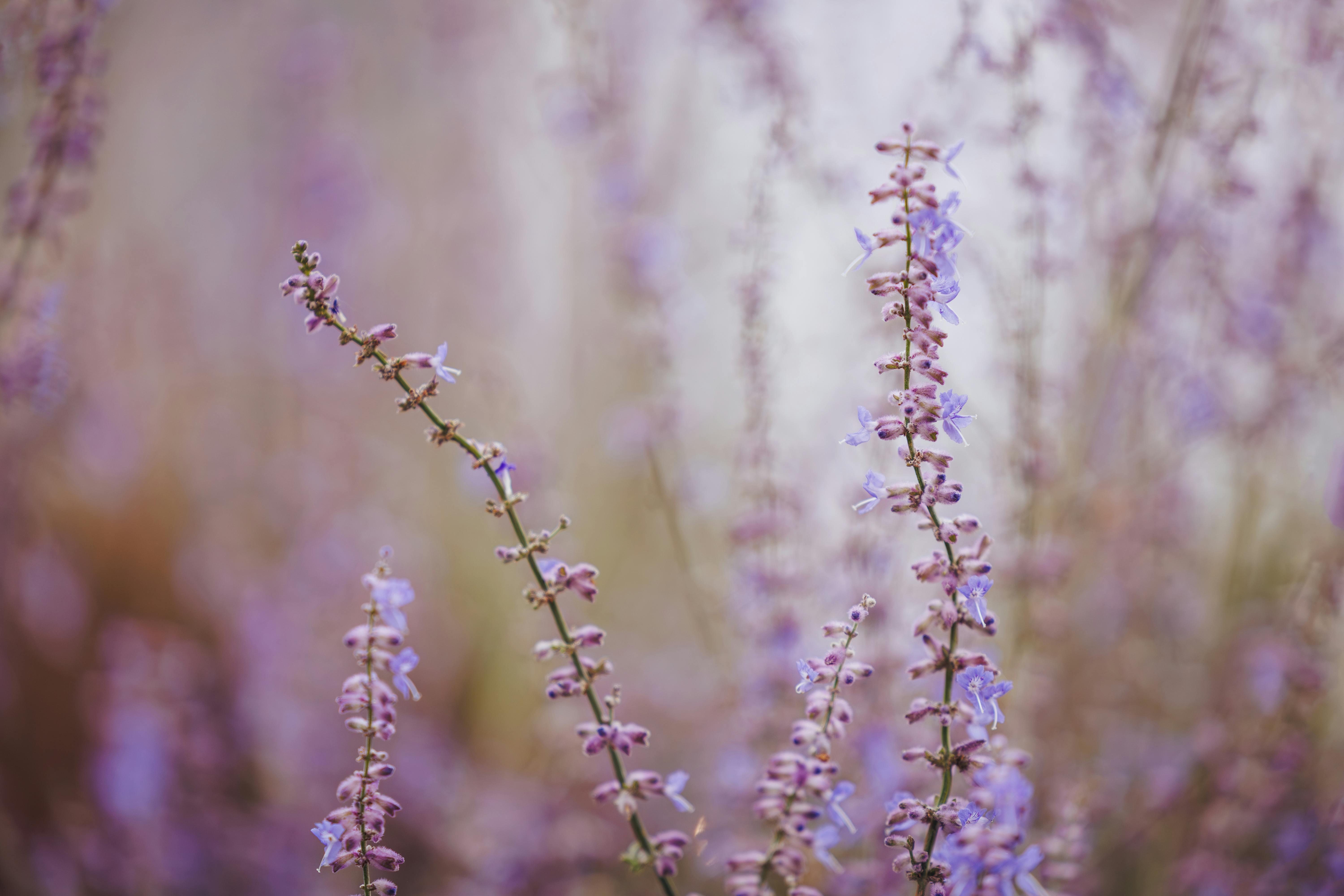 Rare Perfume Secrets to Help You Stand Out