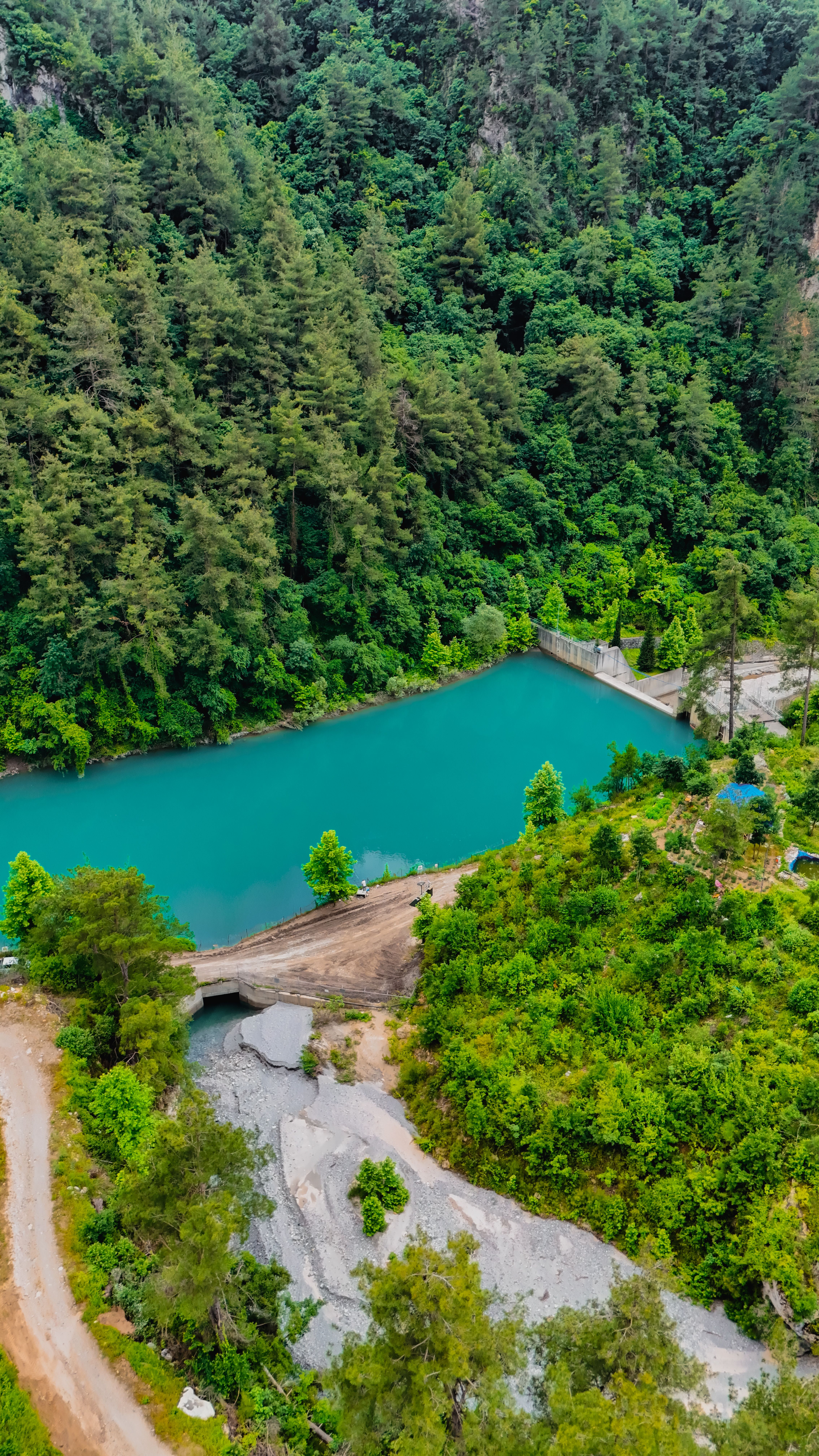 Aerial View of Lush Green Lake and Forest · Free Stock Photo