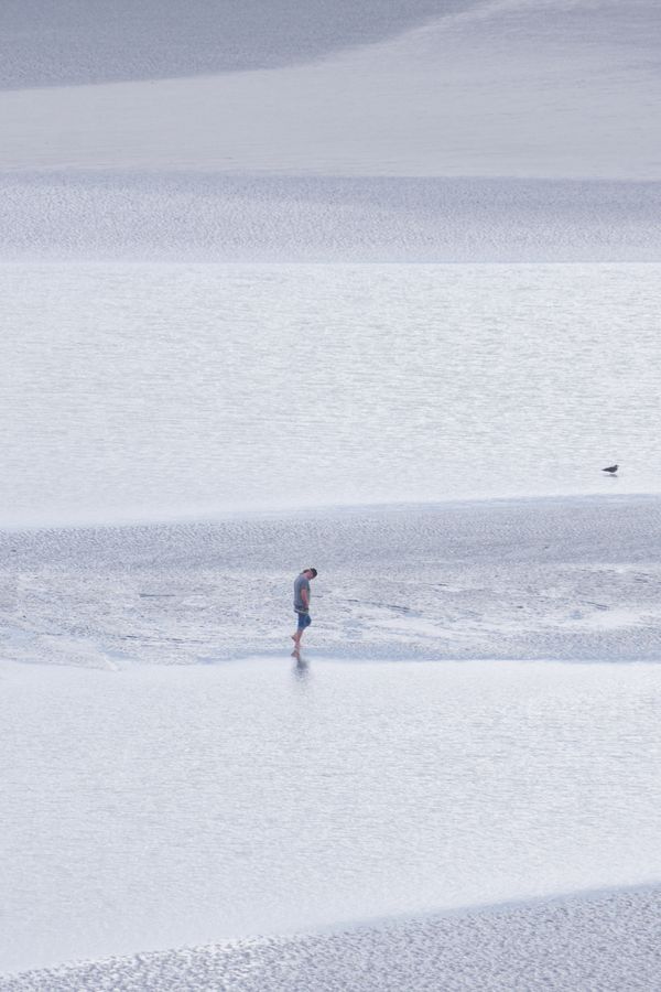 Vue verticale d'un promeneur solitaire et d'une mouette sur l'estran