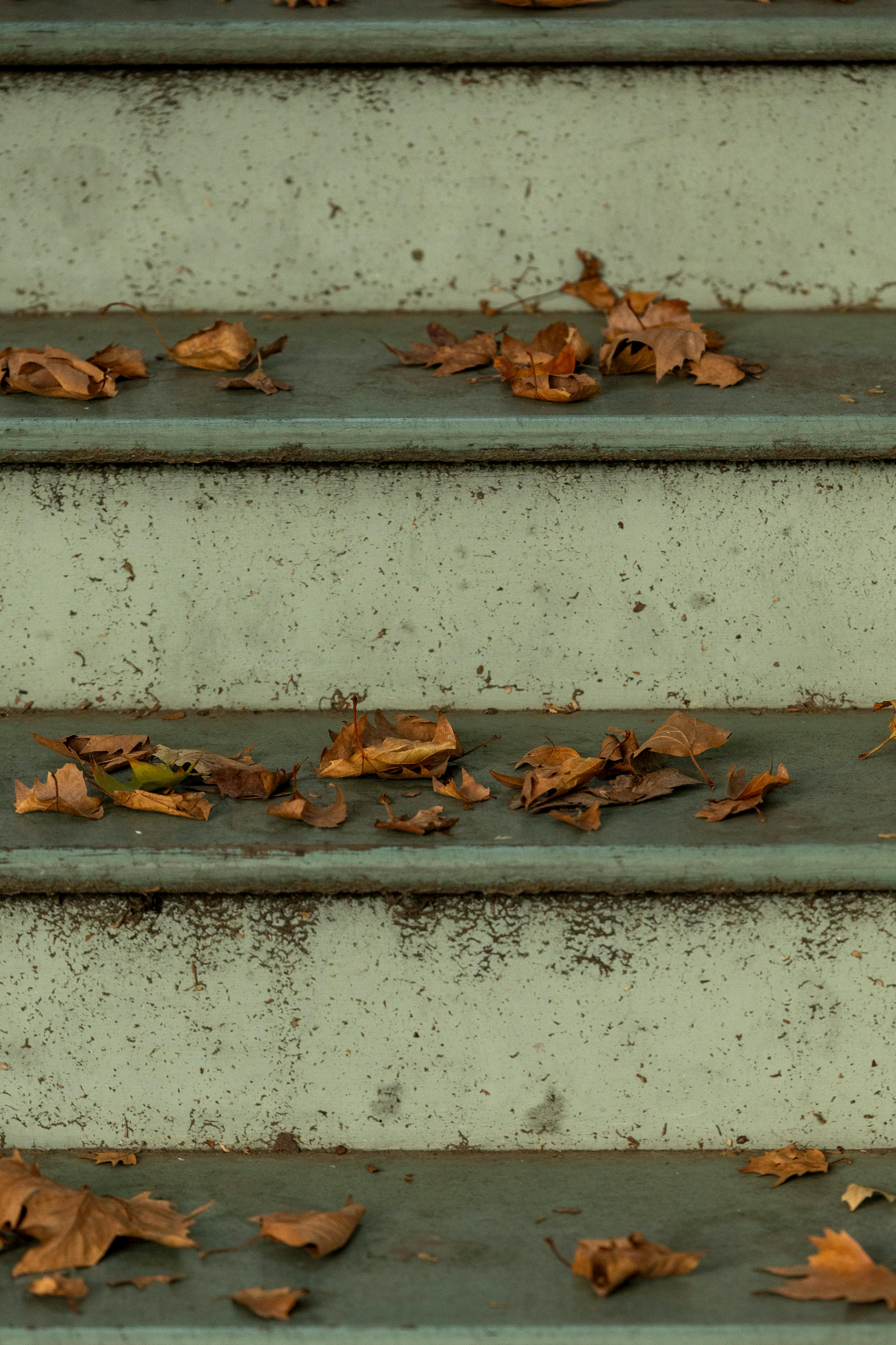 gratis Gevallen herfstbladeren liggen verspreid op verweerde, groene metalen trappen, wat verwijst naar de seizoensverandering. Stockfoto