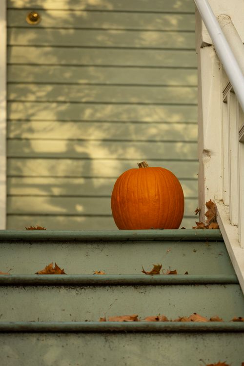 Free Orange pumpkin on stairs with fallen leaves, capturing the essence of fall. Stock Photo
