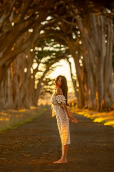 Woman enjoying the sun in a tree tunnel during golden hour, capturing tranquility and nature's beauty.