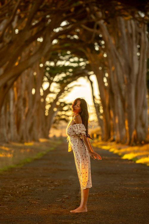 Free Woman enjoying the sun in a tree tunnel during golden hour, capturing tranquility and nature's beauty. Stock Photo