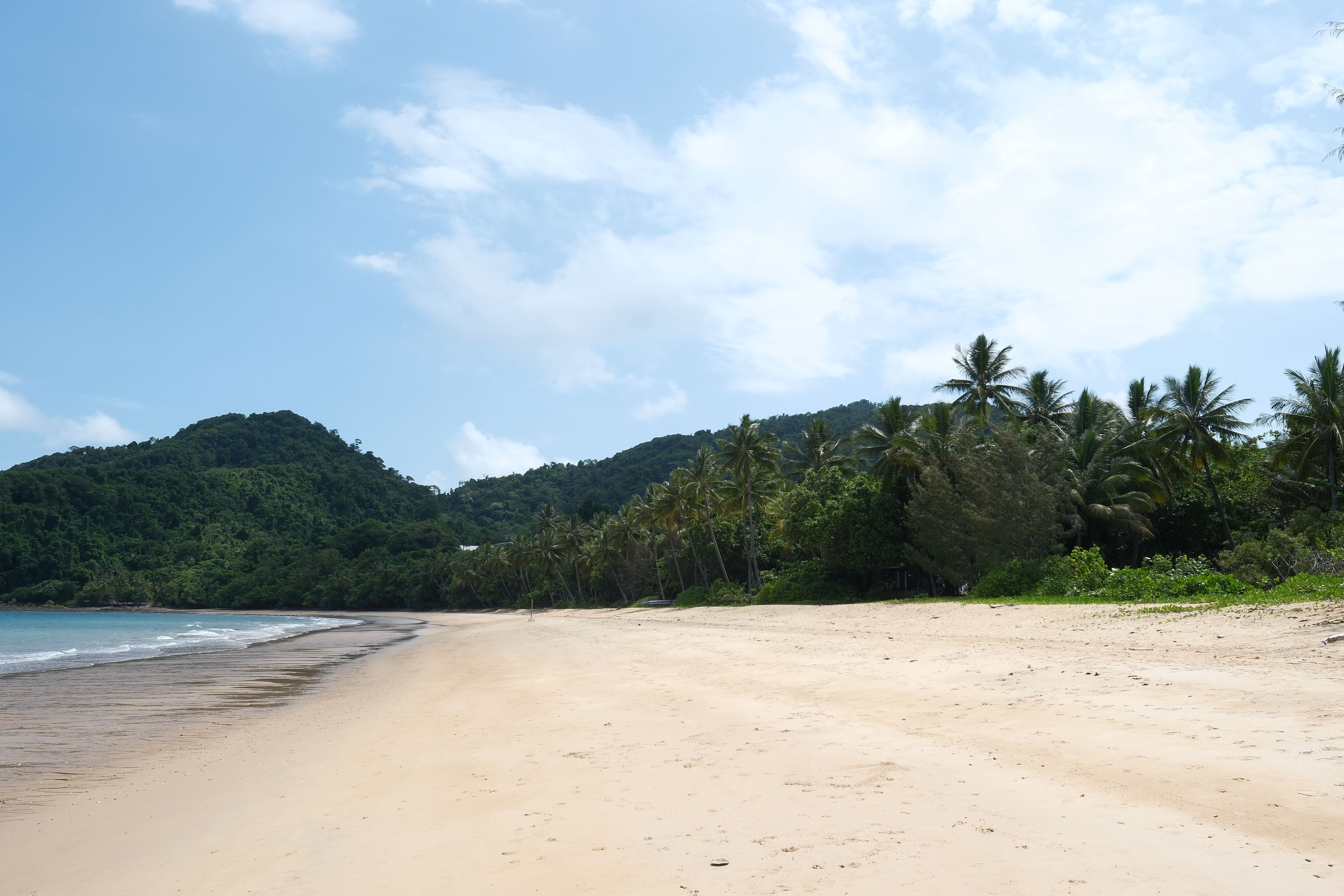 Scenic Tropical Beach with Lush Greenery · Free Stock Photo