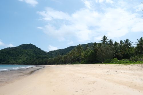 Free A tranquil tropical beach lined with lush greenery and palm trees under a clear sky. Stock Photo