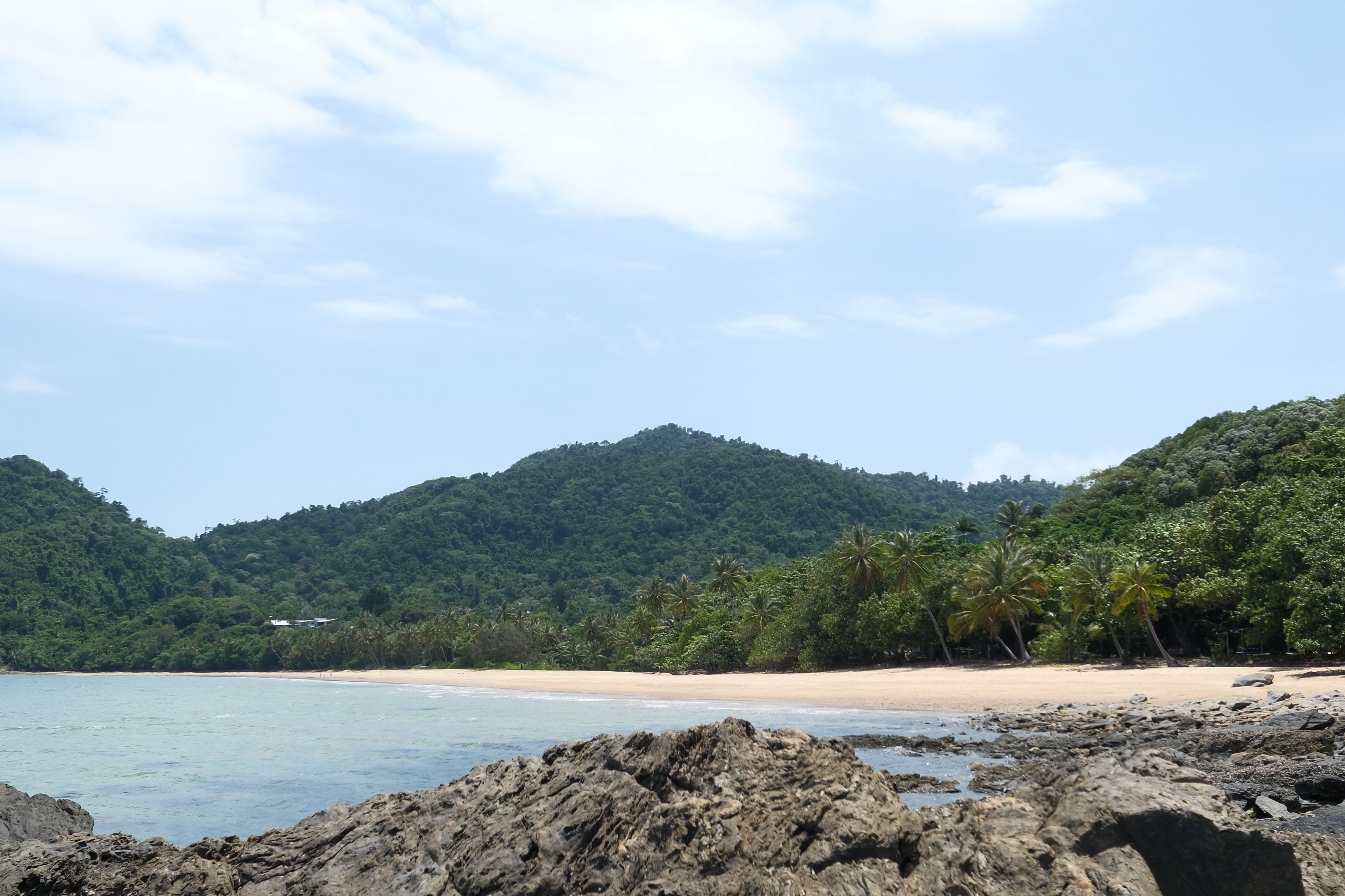 A serene tropical beach with lush greenery, palm trees, and distant hills under a sunny sky.