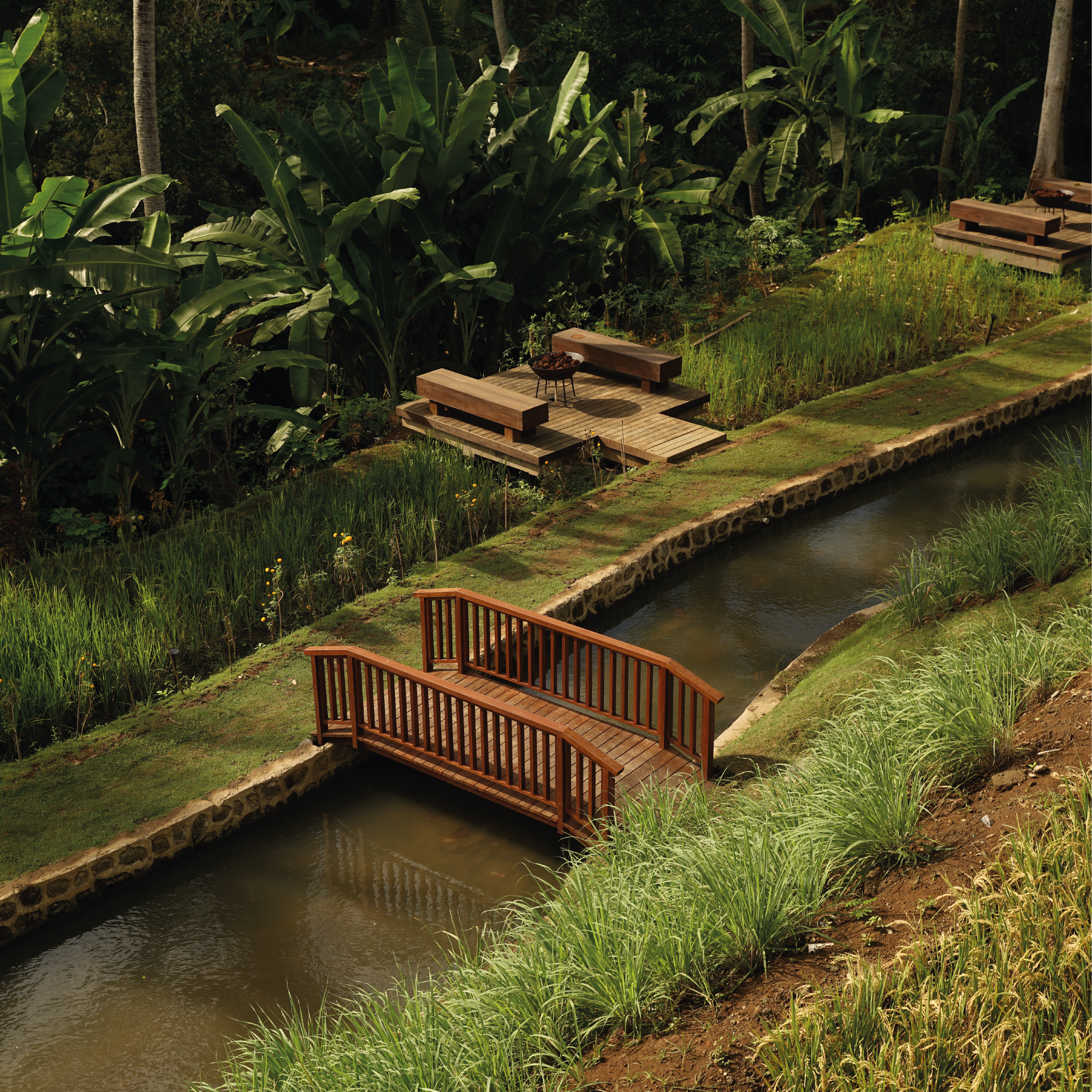 A tranquil wooden bridge over a stream surrounded by lush greenery in Bali, Indonesia.