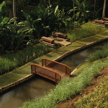 A tranquil wooden bridge over a stream surrounded by lush greenery in Bali, Indonesia.