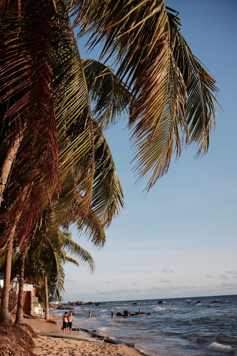 Coconut palm beach on Phu Quoc island