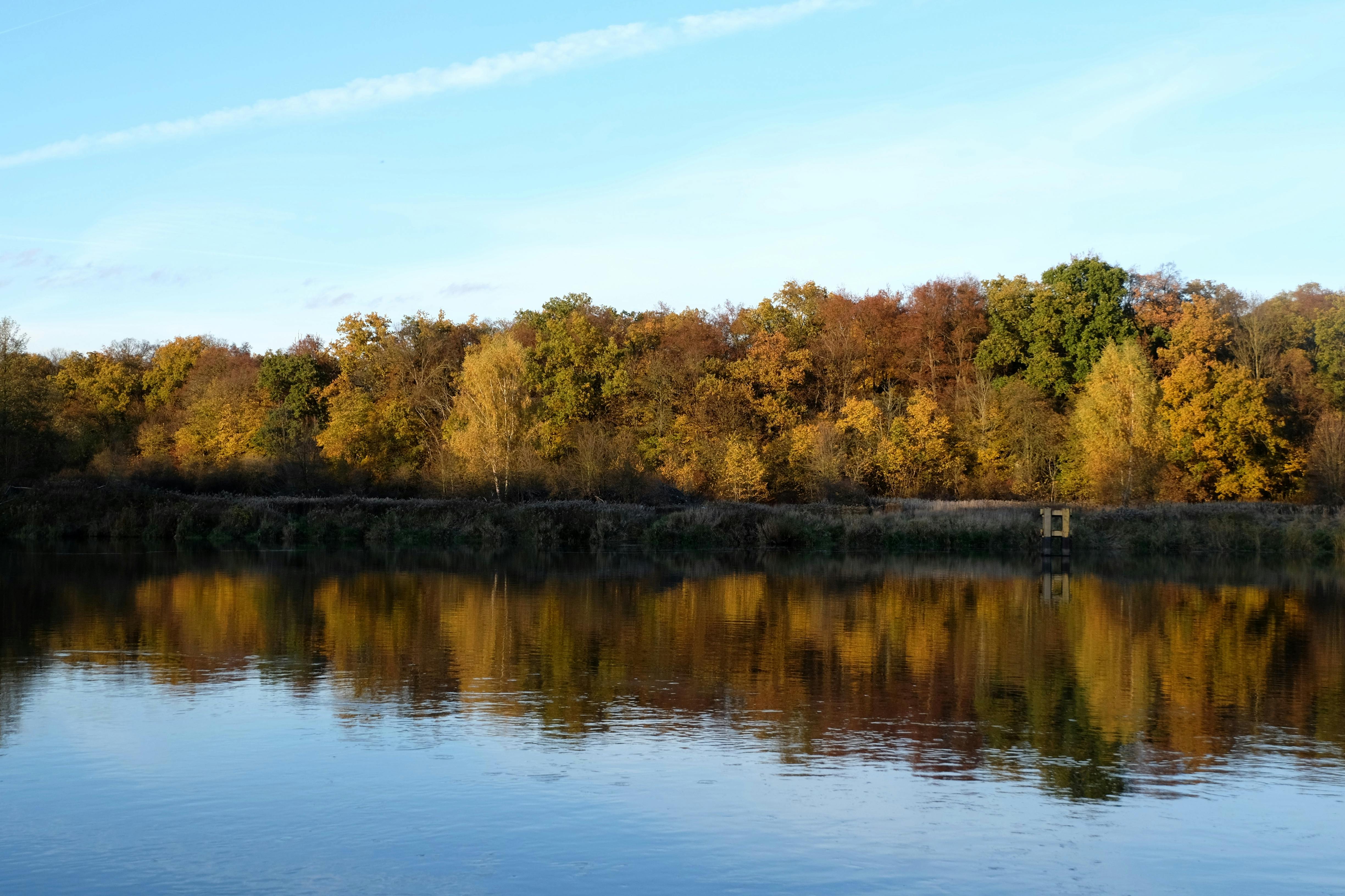 Serene autumn forest reflected in a calm river under a clear blue sky.