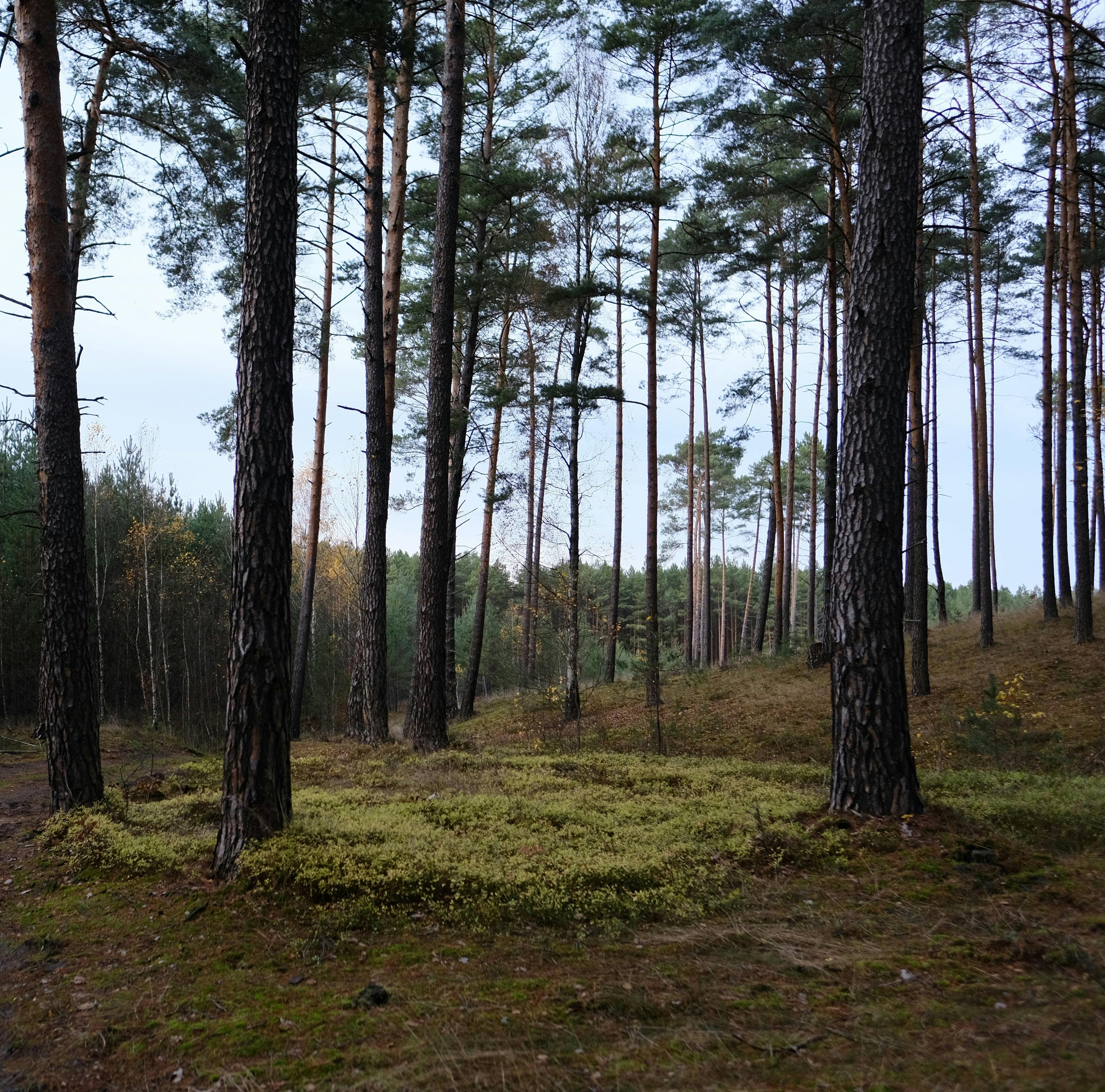 財經：陸客銳減衝擊日本觀光，日圓在財政刺激下恐續走弱