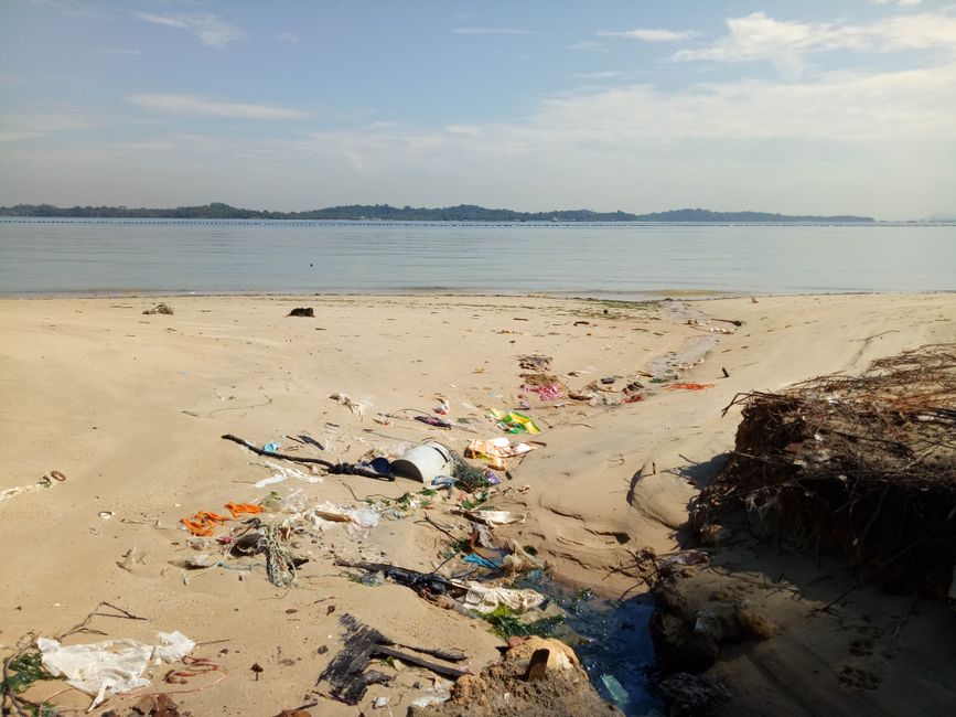 A sunny beach in Singapore is cluttered with rubbish and debris, highlighting pollution issues.