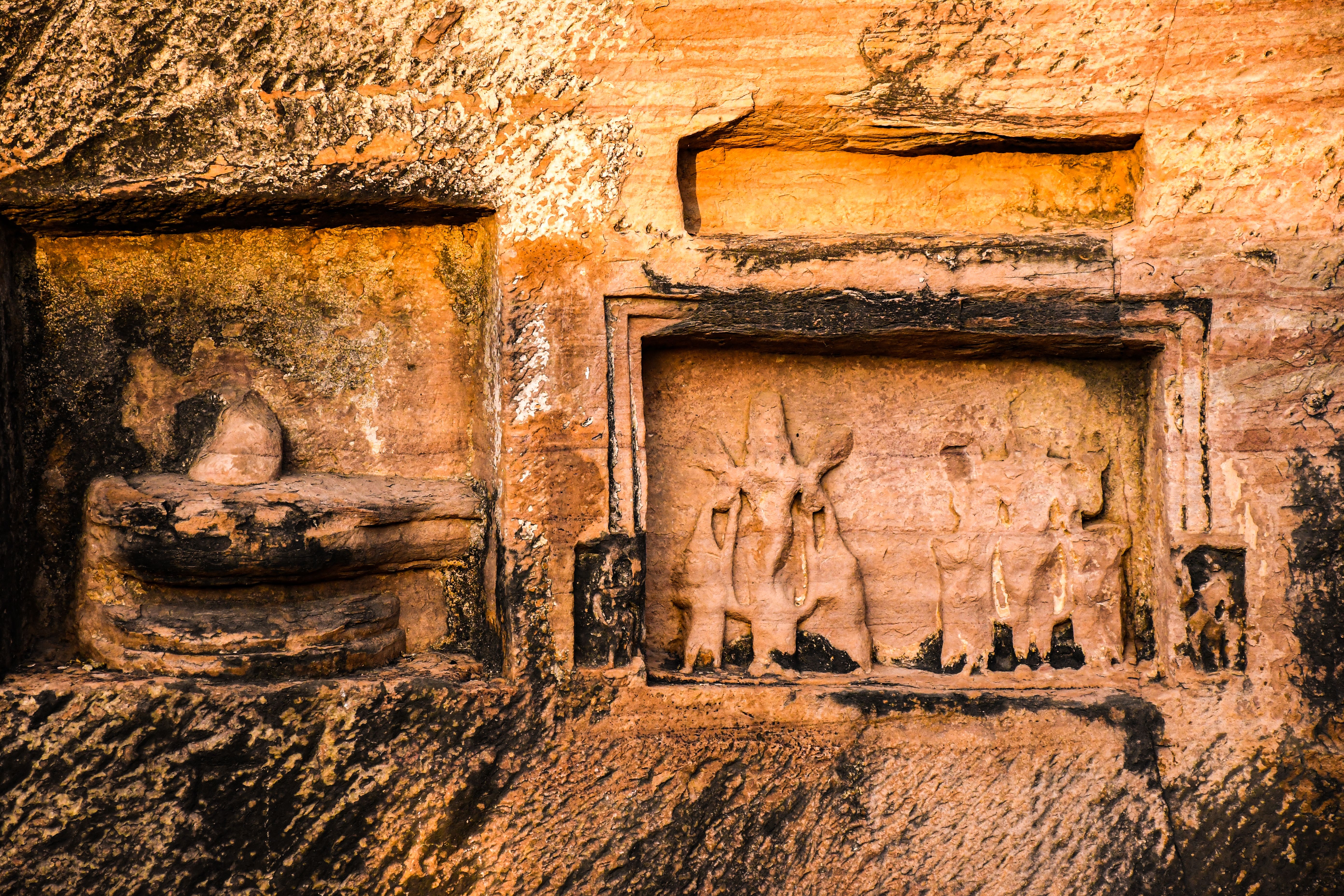 ancient red junglefowl relief beside pottery fragments in an Indian archaeological museum, warm conservation lighting