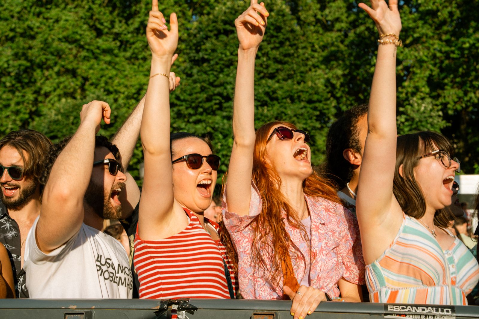 Energetic crowd enjoying an outdoor evening concert on a lawn