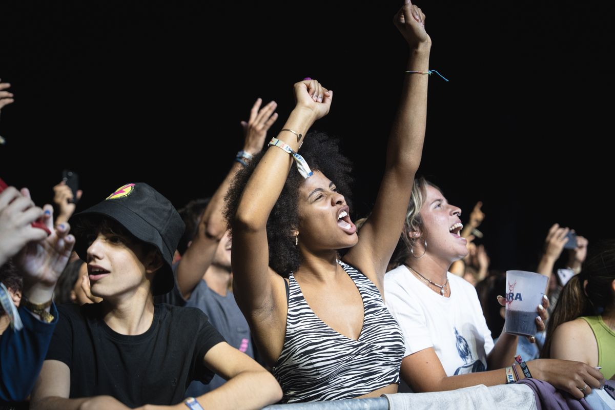 Crowd with Arms Raised at Concert · Free Stock Photo