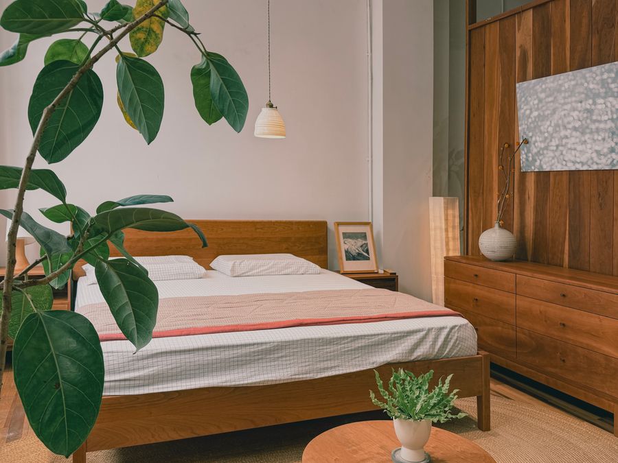 Feng shui bedroom plants - snake plant in corner representing wood element for growth