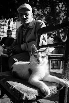 Black and white image of a cat lounging on a bench with a person in the background.