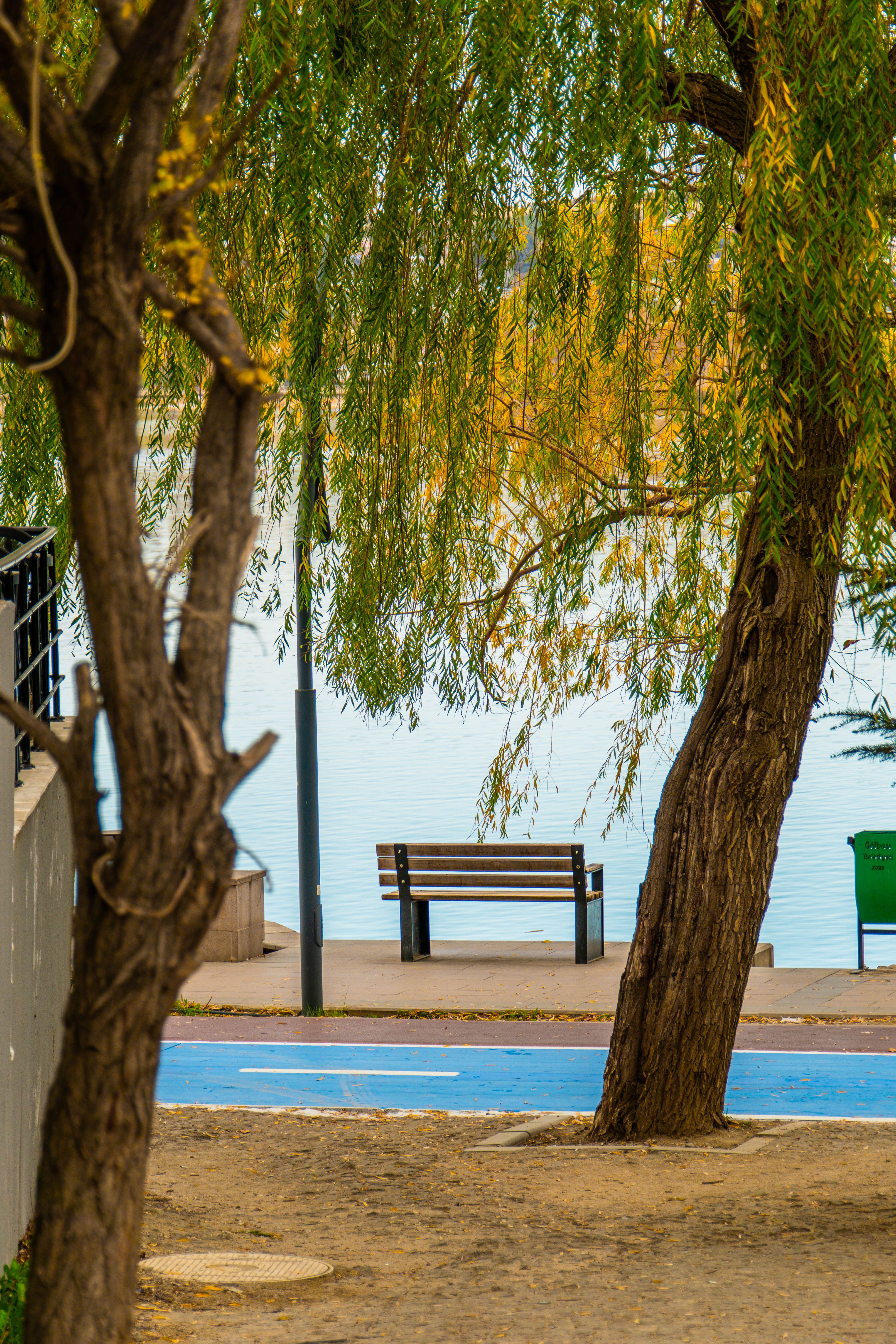 Serene Riverside Park Bench in Autumn Scene · Free Stock Photo