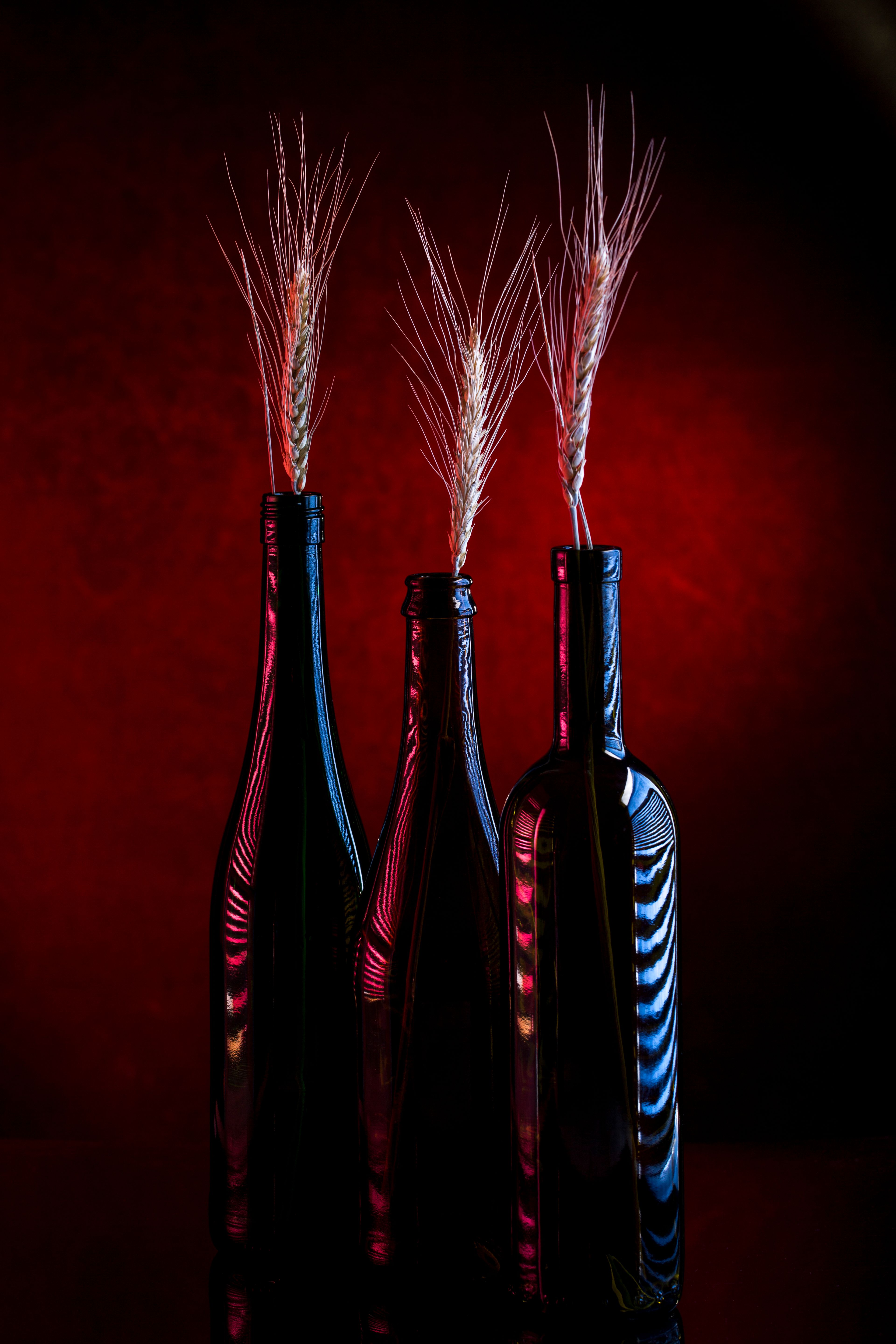 Wine bottles arranged with wheat stalks against a deep backdrop — photo by Valentin Ivantsov on Pexels
