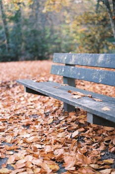 An empty park bench surrounded by fallen autumn leaves in a serene forest setting.