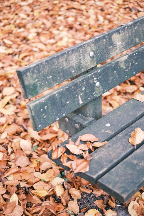 Free Weathered park bench surrounded by fallen leaves, capturing the essence of autumn. Stock Photo