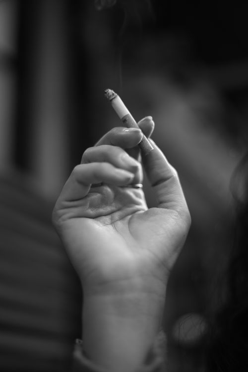 adapter for cigarette lighter to plug 12V Cigarette Lighter Power Plug Adapter