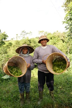 Two smiling farmers showcasing their leafy harvest in the lush fields of Bali, Indonesia.