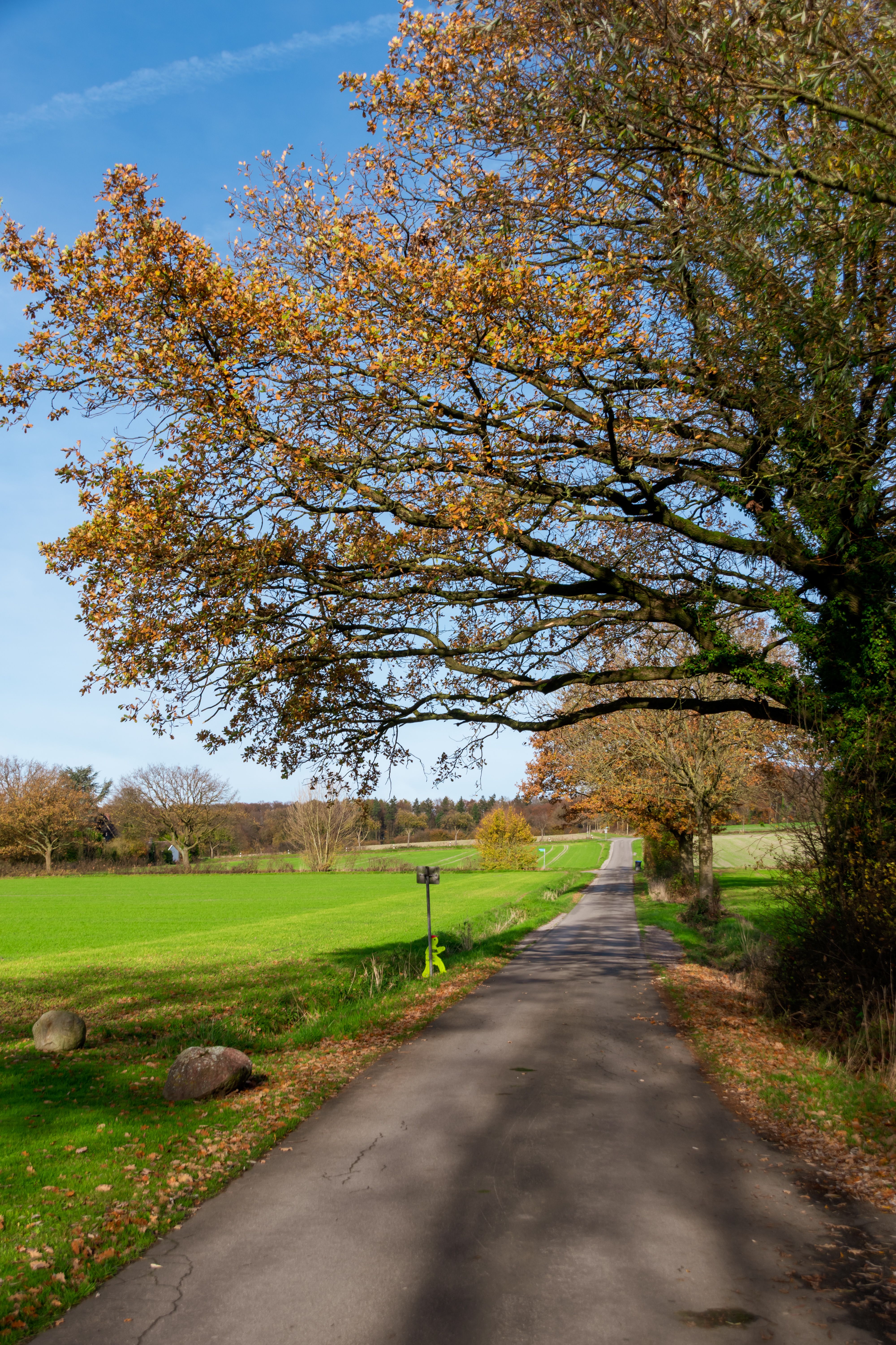 Scenic Countryside Pathway with Wooden Gate · Free Stock Photo