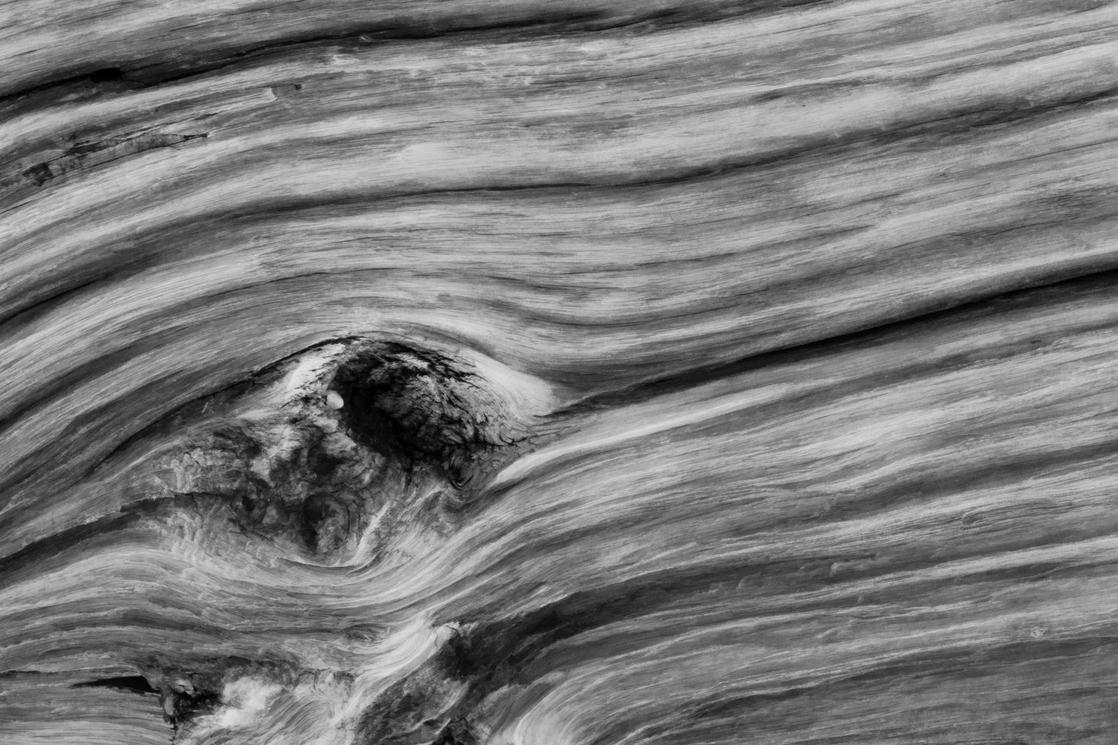 Close-up abstract view of weathered wood grain in monochrome, highlighting unique textures and patterns.