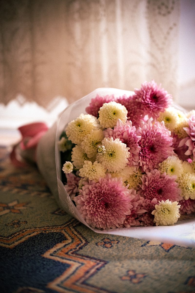 A delicate bouquet of pink and white chrysanthemums, perfect for celebrations or decorating a room in spring.