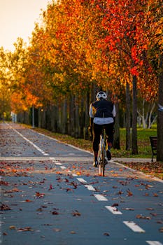 A cyclist enjoys a peaceful ride on a park pathway lined with vibrant autumn trees.