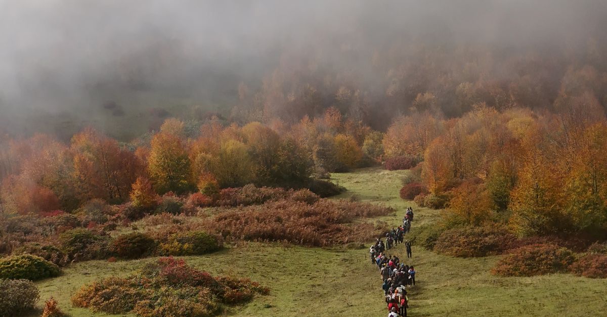 The 8 Most Traveled Pilgrimage Routes in the World The 8 Most Traveled Pilgrimage Routes in the World