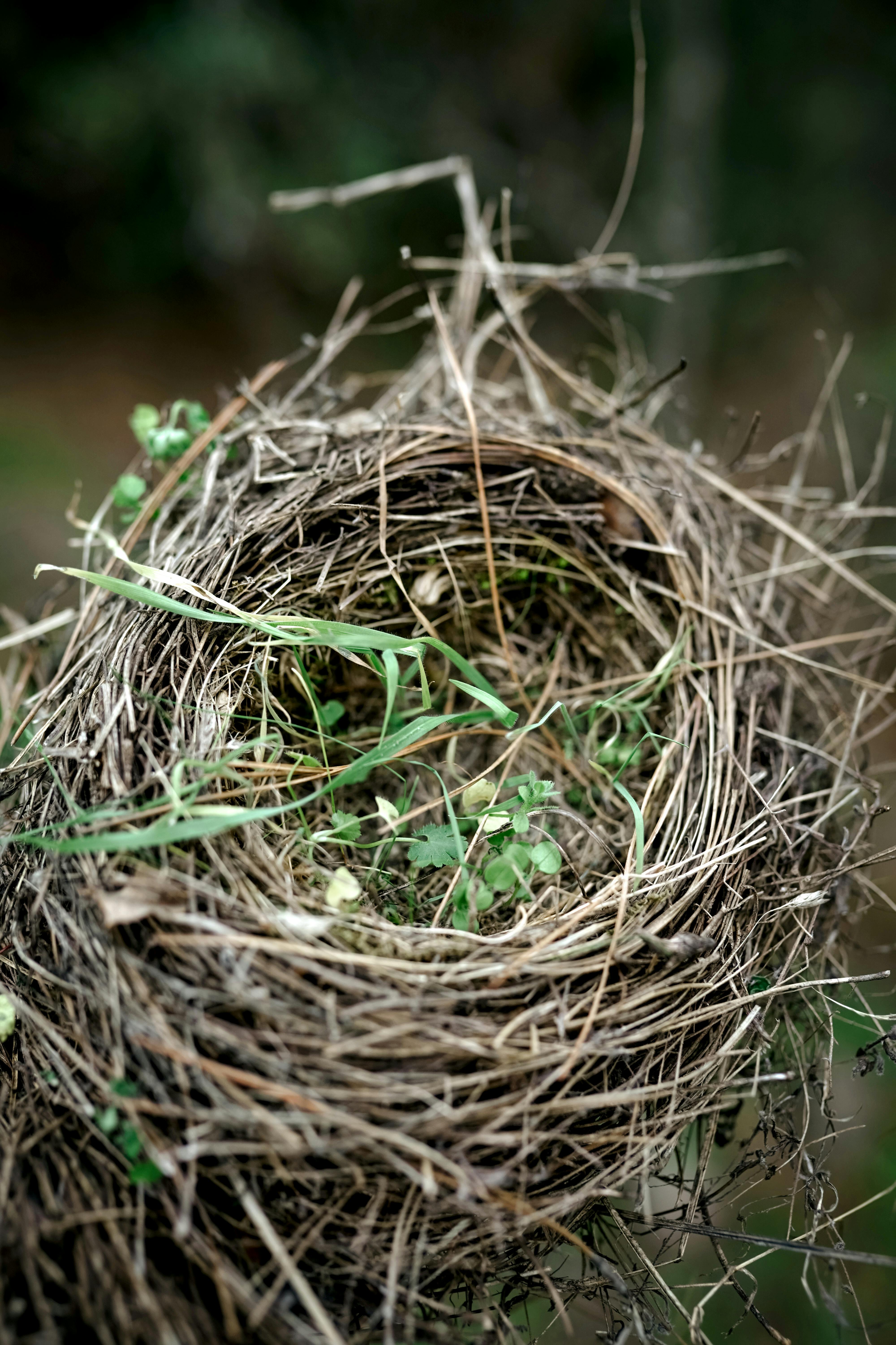 Jurassic World Rebirth Reviews: What Critics Are Really Saying? 3 Is Jurassic World Rebirth Worth Your Time? A Comprehensive Review Roundup