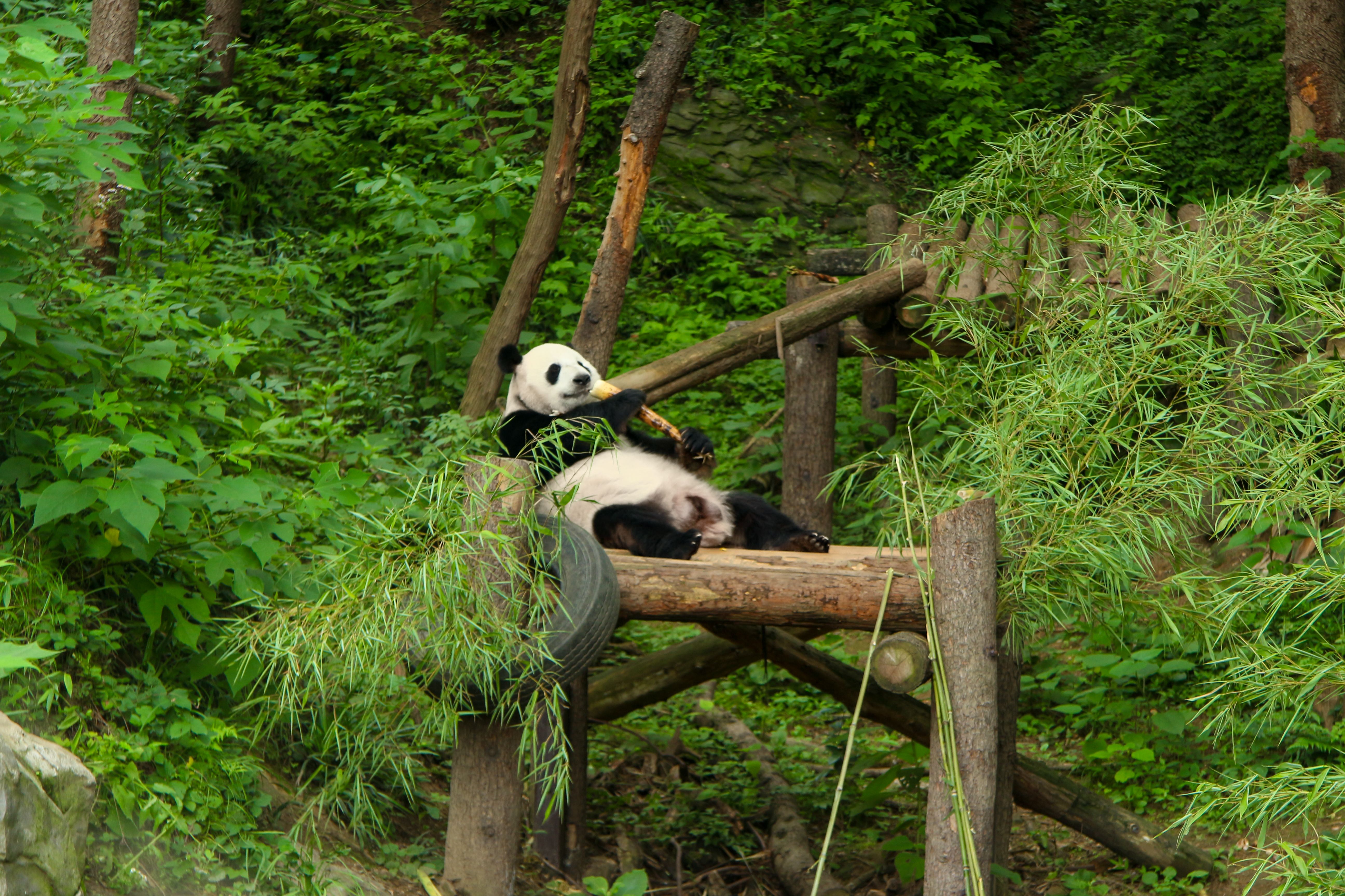 Pingdingbu