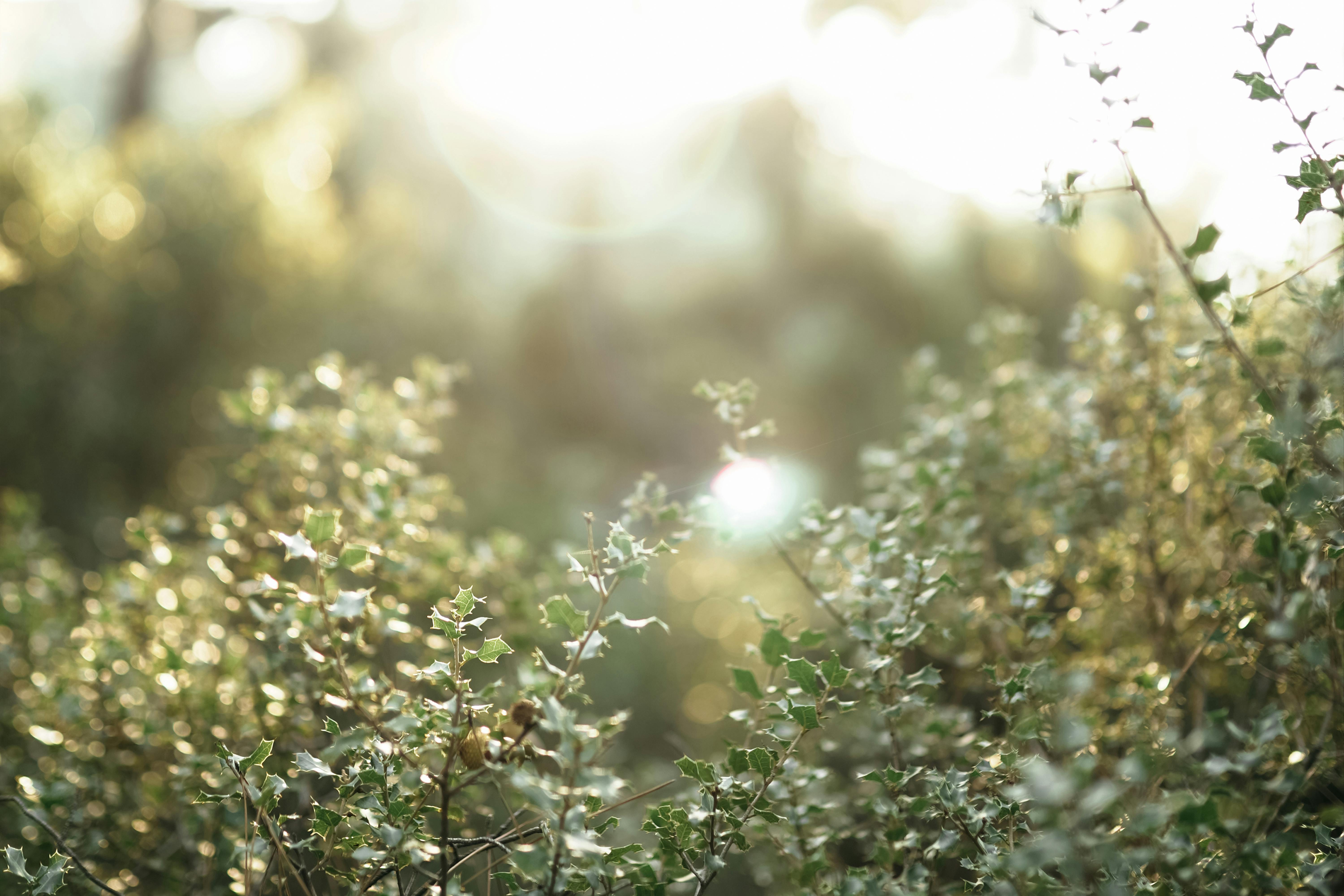 Eco Chic Beauty Trends: Embracing Sustainable and Stylish Trends